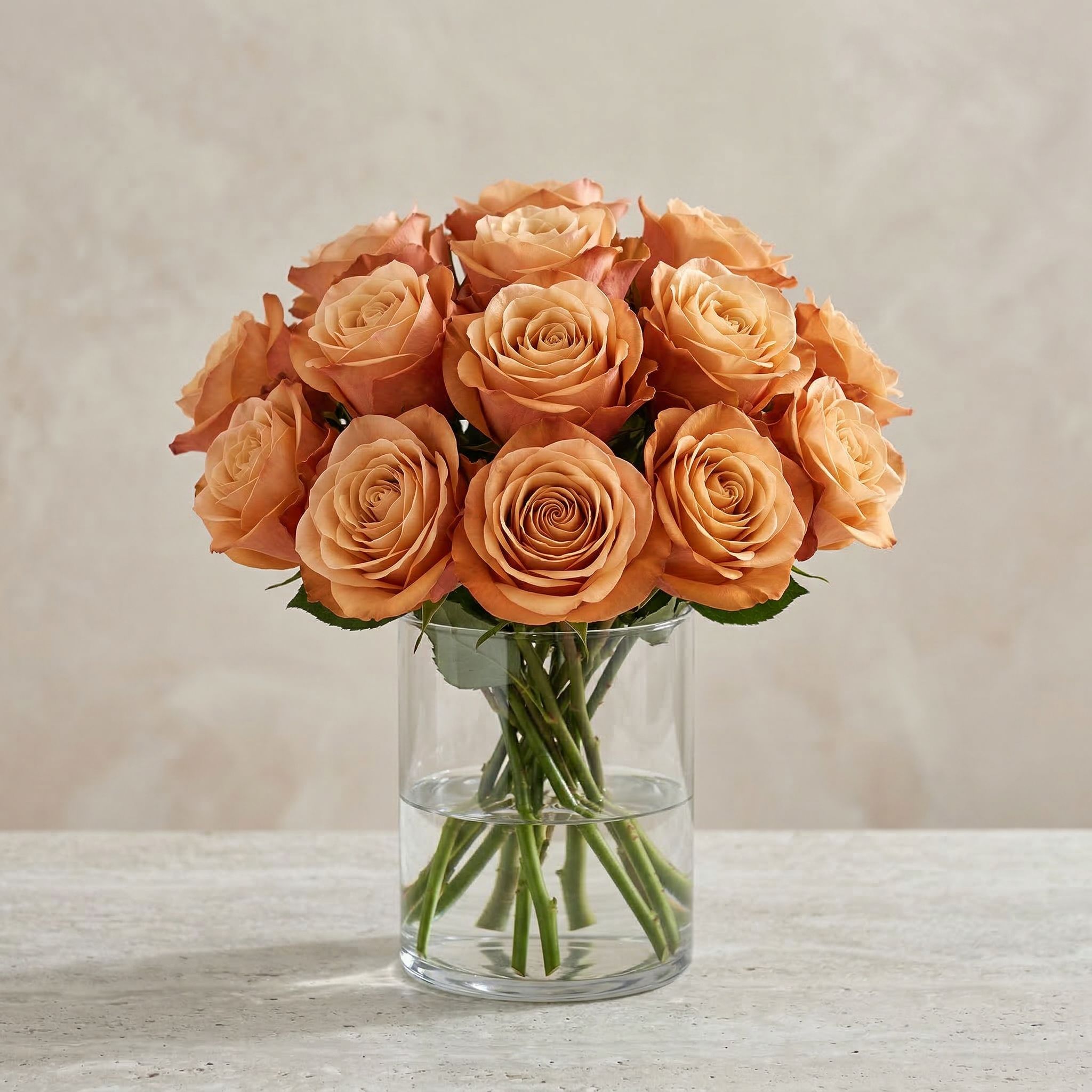 The Signature Rose Dozen (Colors Vary)_7