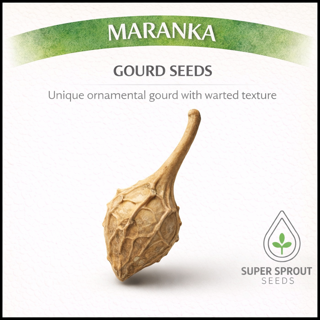 🎃MARANKA/CAVEMAN'S CLUB GOURD🎃 x 5 seeds _0