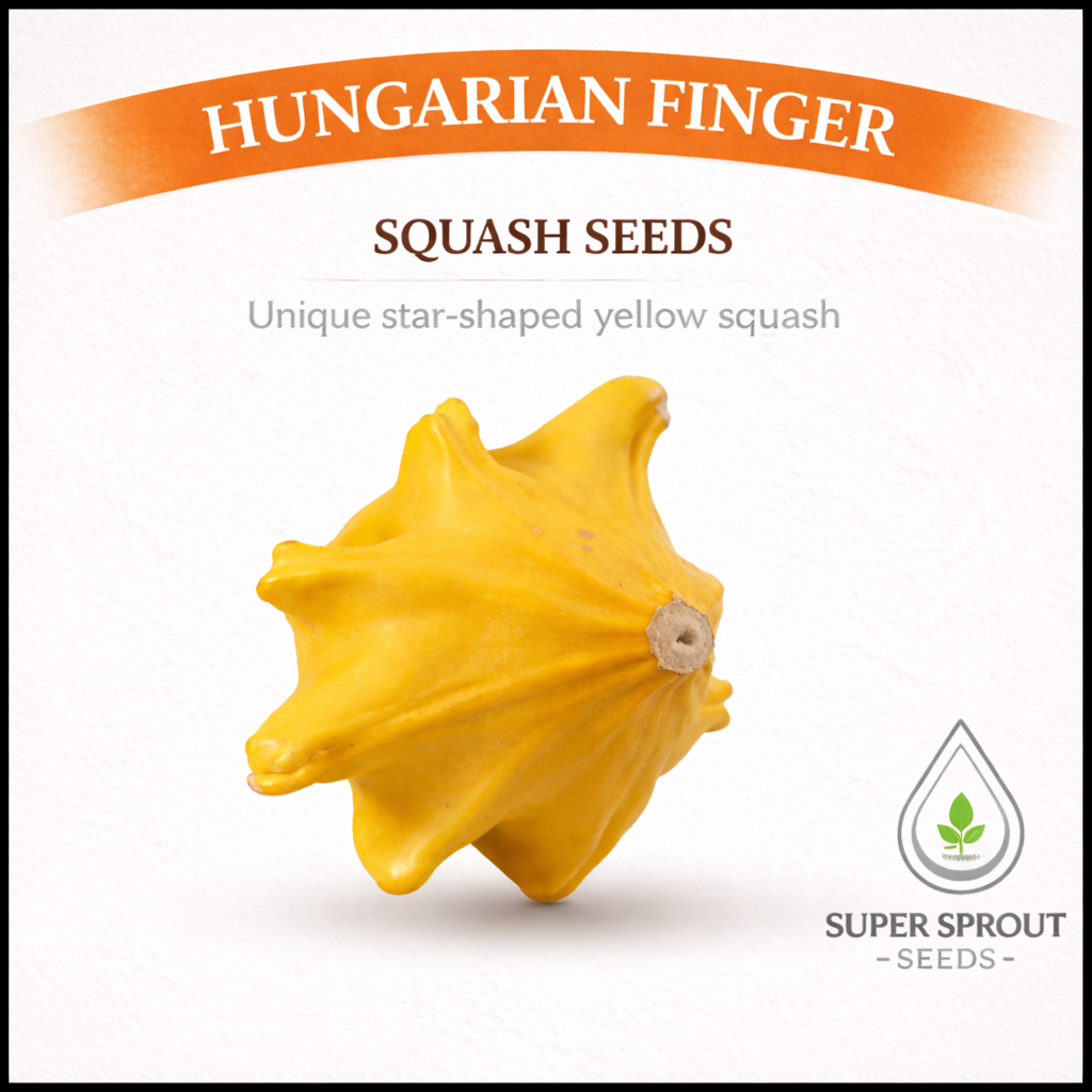 YUGOSLAVIAN FINGERS SQUASH x 5 seeds_0