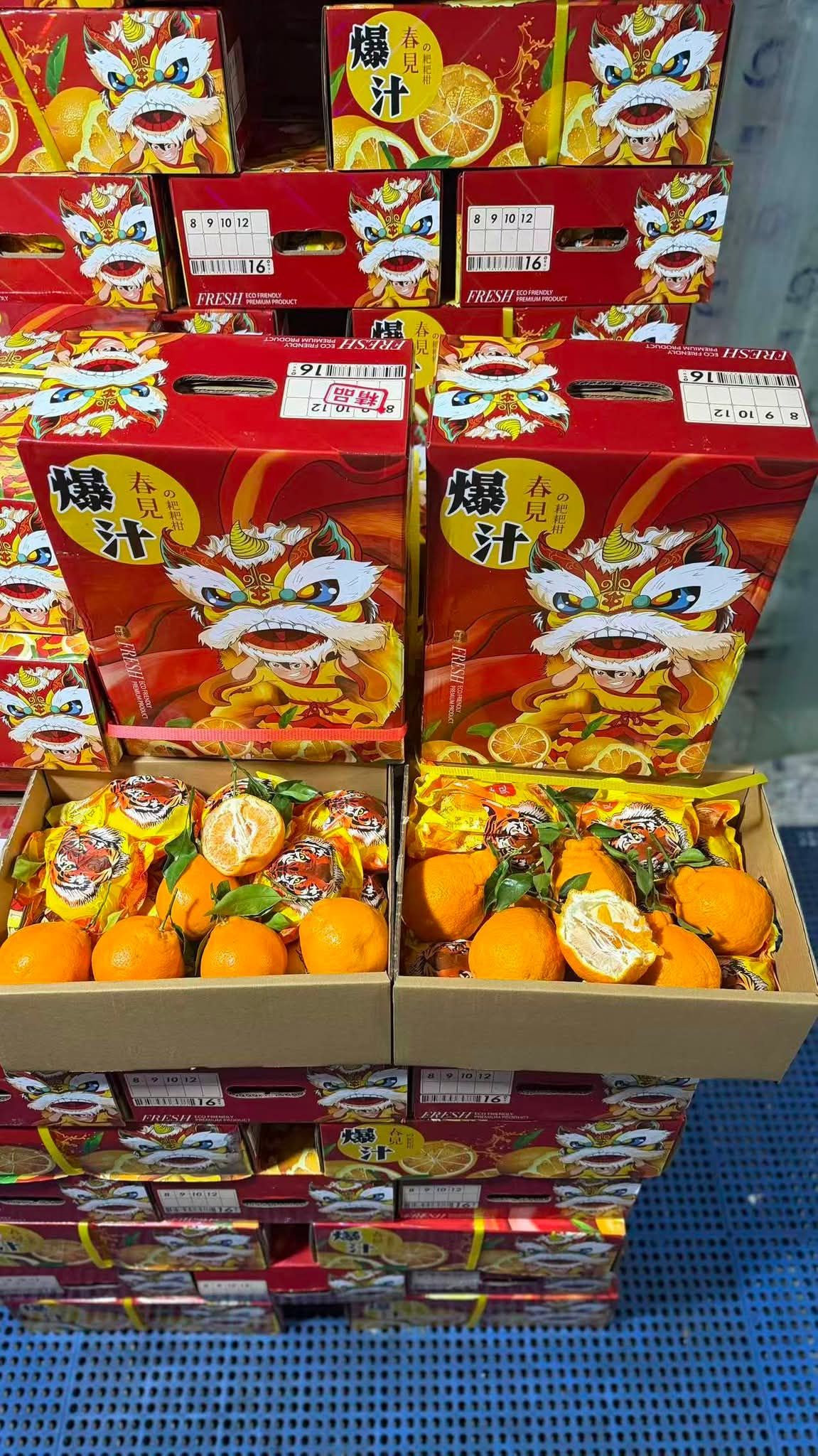 Ugly Ponkan (By the Box) _1