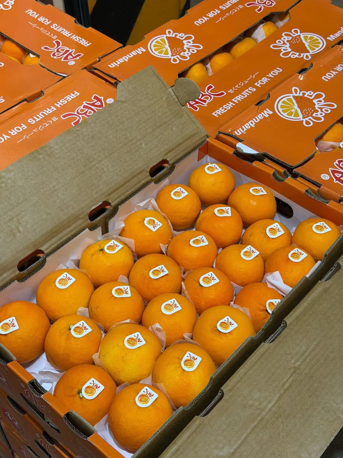 Wogan Mandarin (By the Box) _1