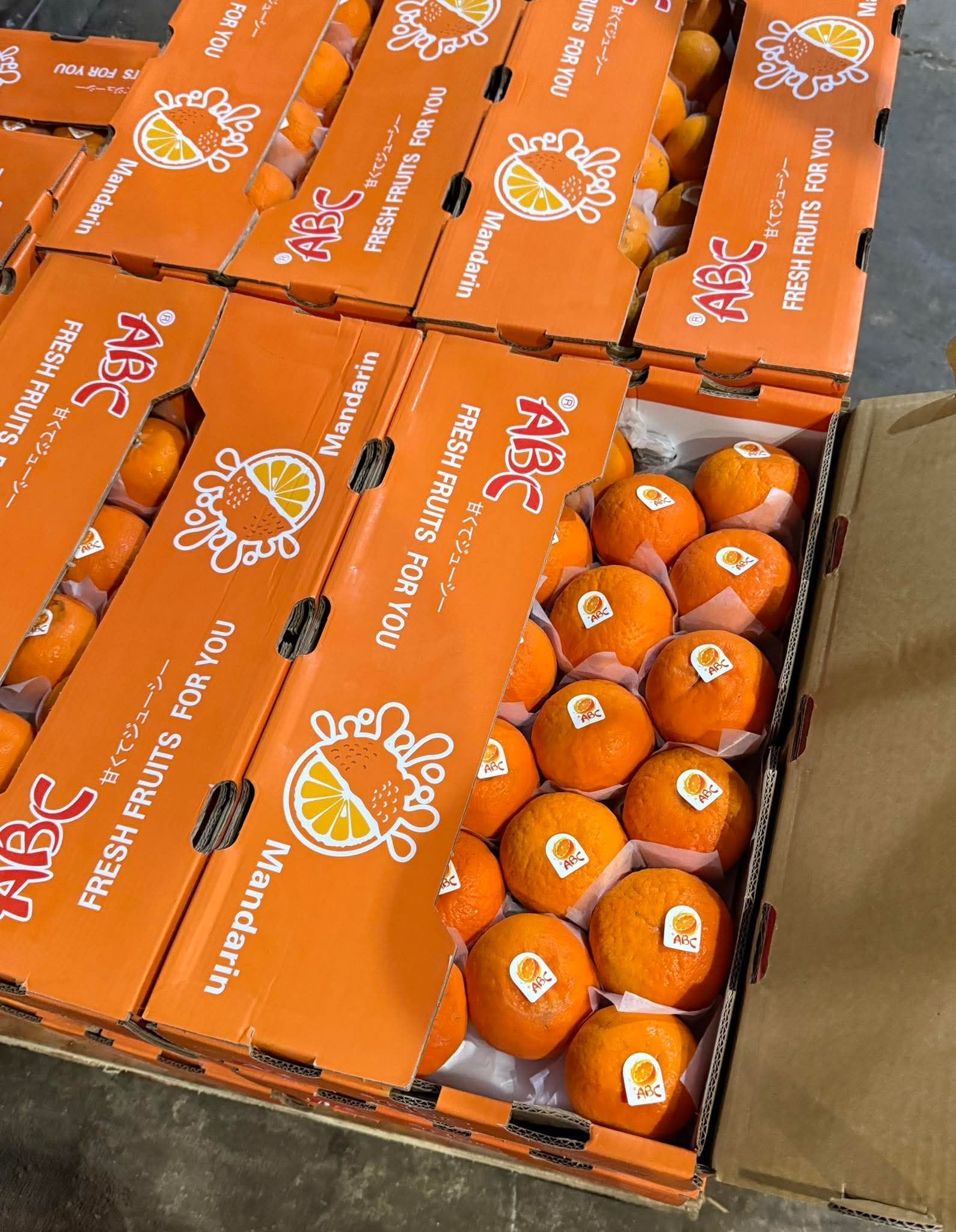 Wogan Mandarin (By the Box) _2