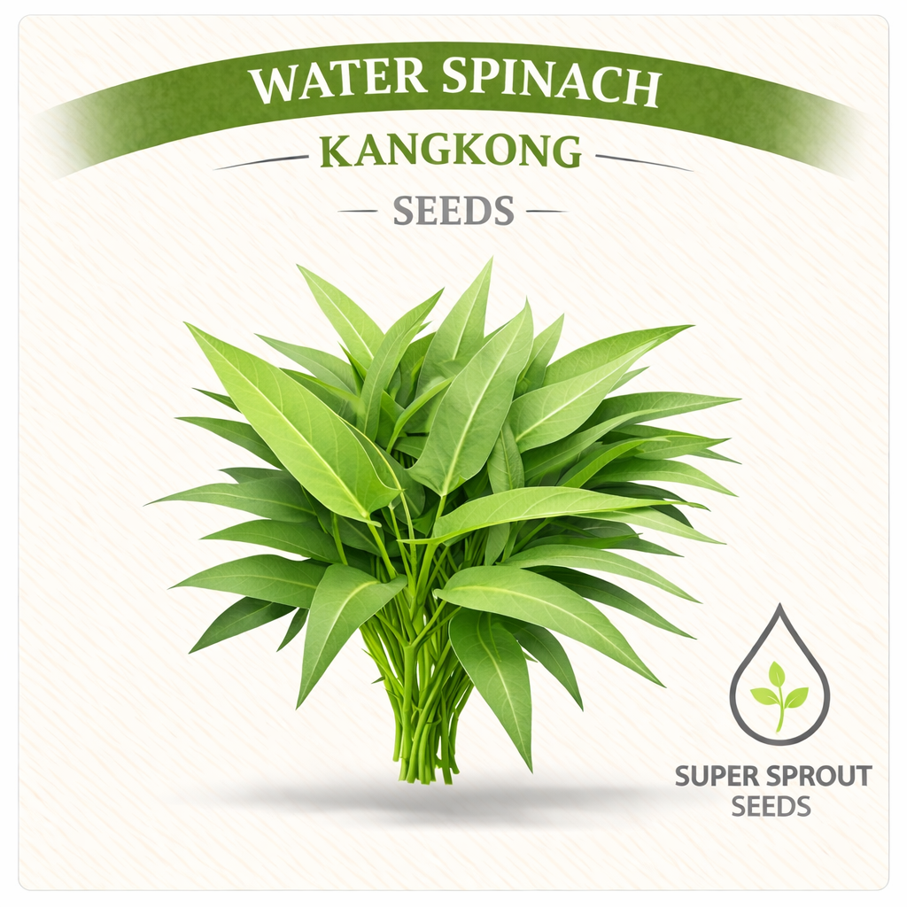 WATER SPINACH x 10 seeds_0