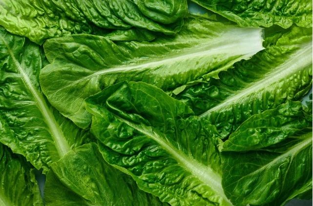 Romaine Hearts 🔥 2 LBS   💥 BEST SELLER_0