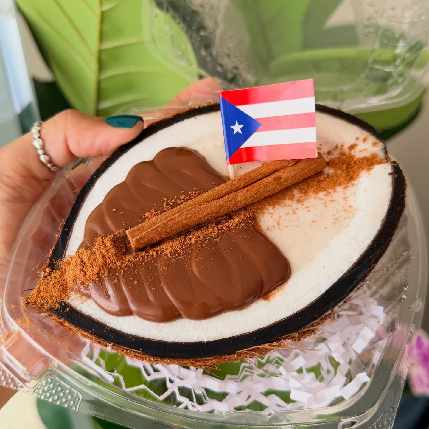 Tembleque en Coco para recoger Domingo_0