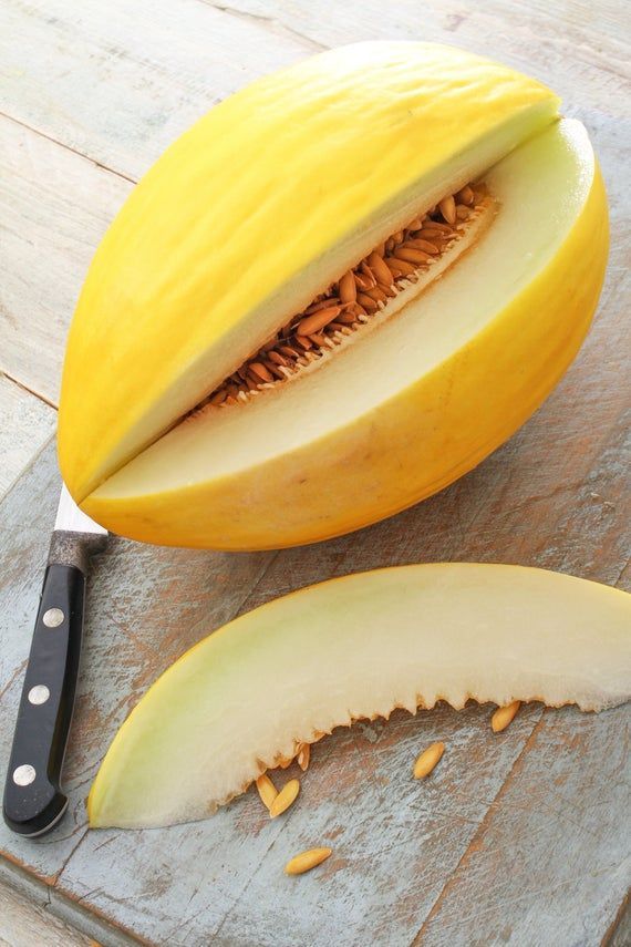Melon Canario (Golden Canary Melon)_0