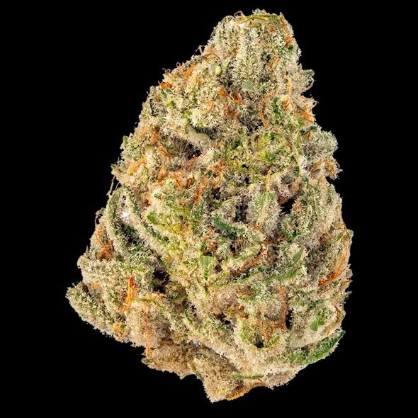 Super Cheese AAA Flower_0