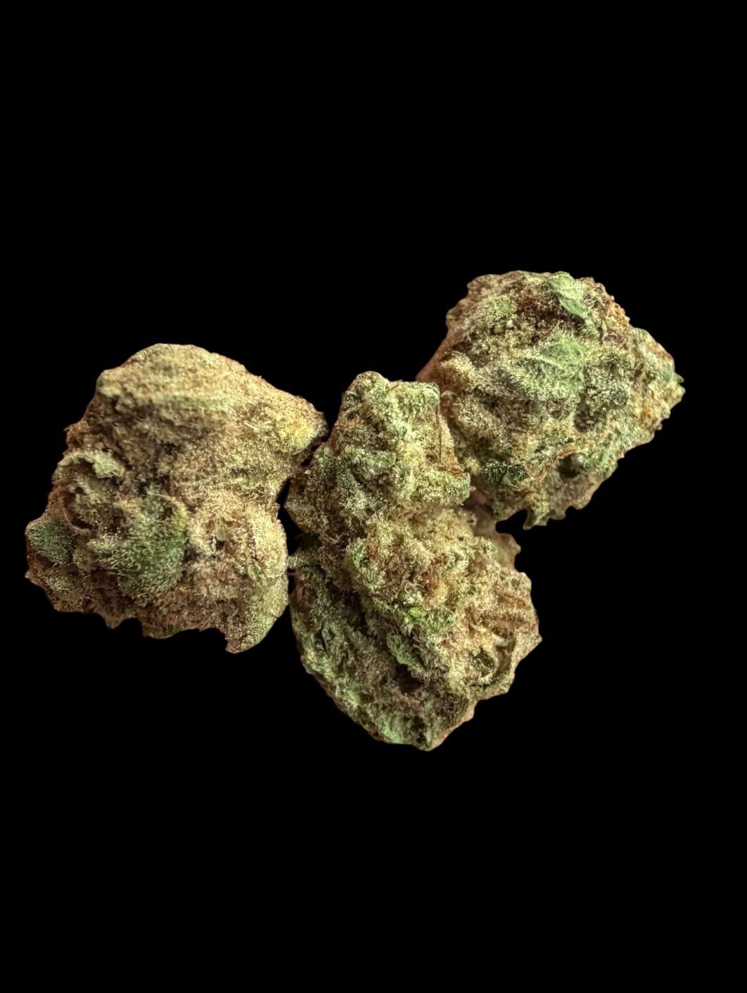 Chocolope AAA Tunnel Flower_0