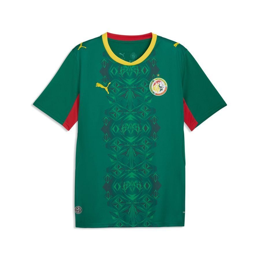 Senegal NT Puma ULTRAWEAVE Kit 26_1