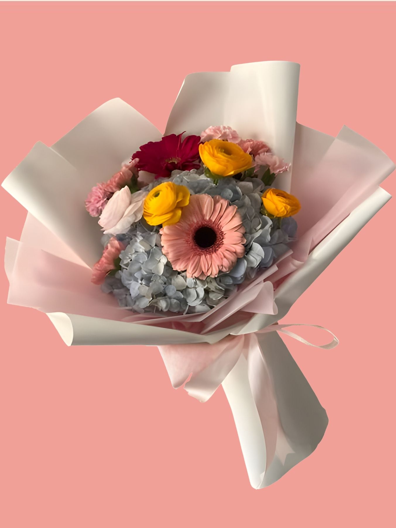 62 - Estrella Jazmin_0