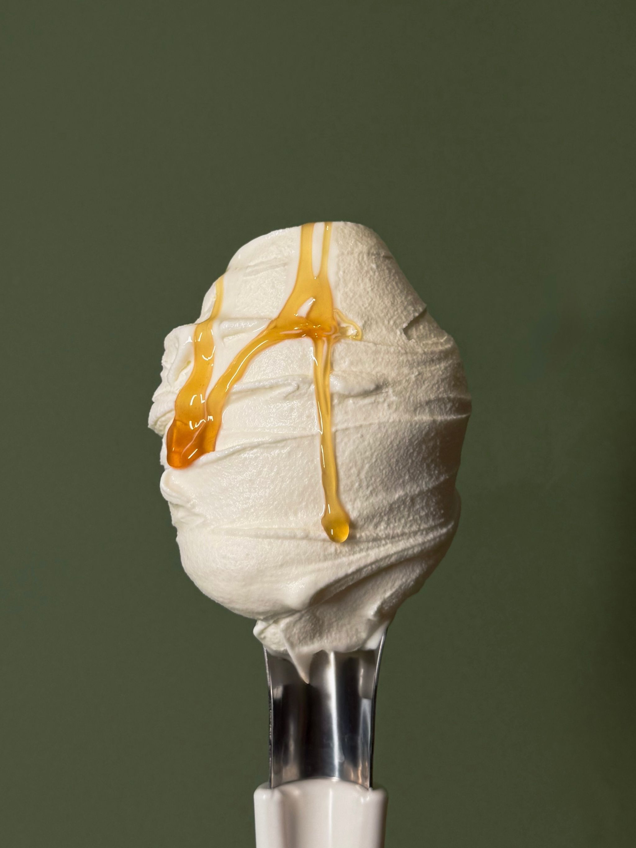 Yogurt & Wildflower Honey_1