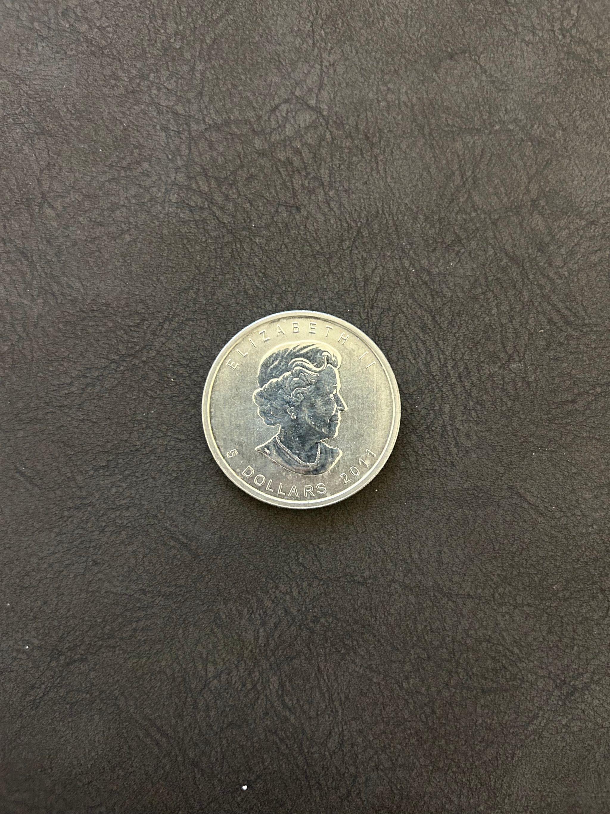 Grizzly Bear 2011 – 1oz .9999 Silver Coin | Canada Wildlife Series_3