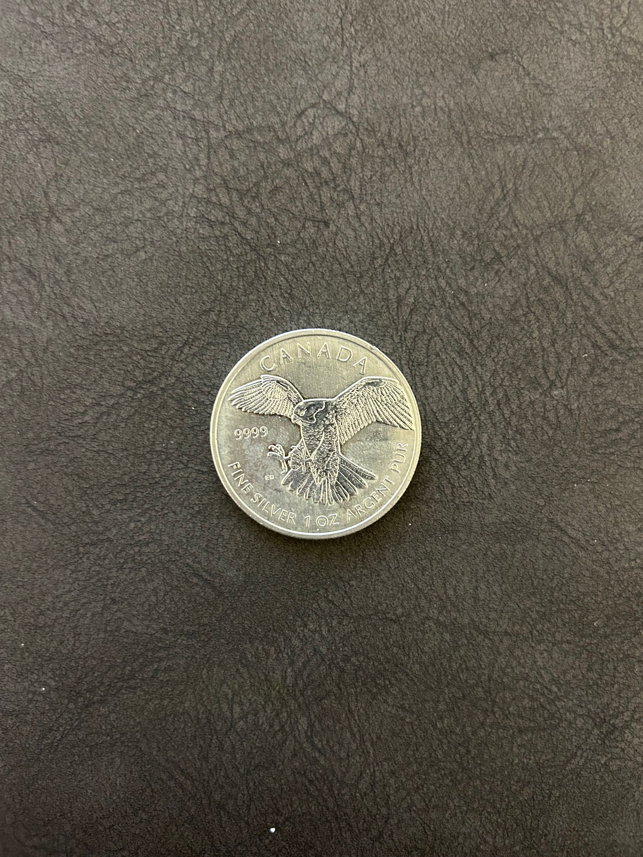 Peregrine Falcon 2014 – 1oz .9999 Silver Coin | Canada Birds of Prey_3