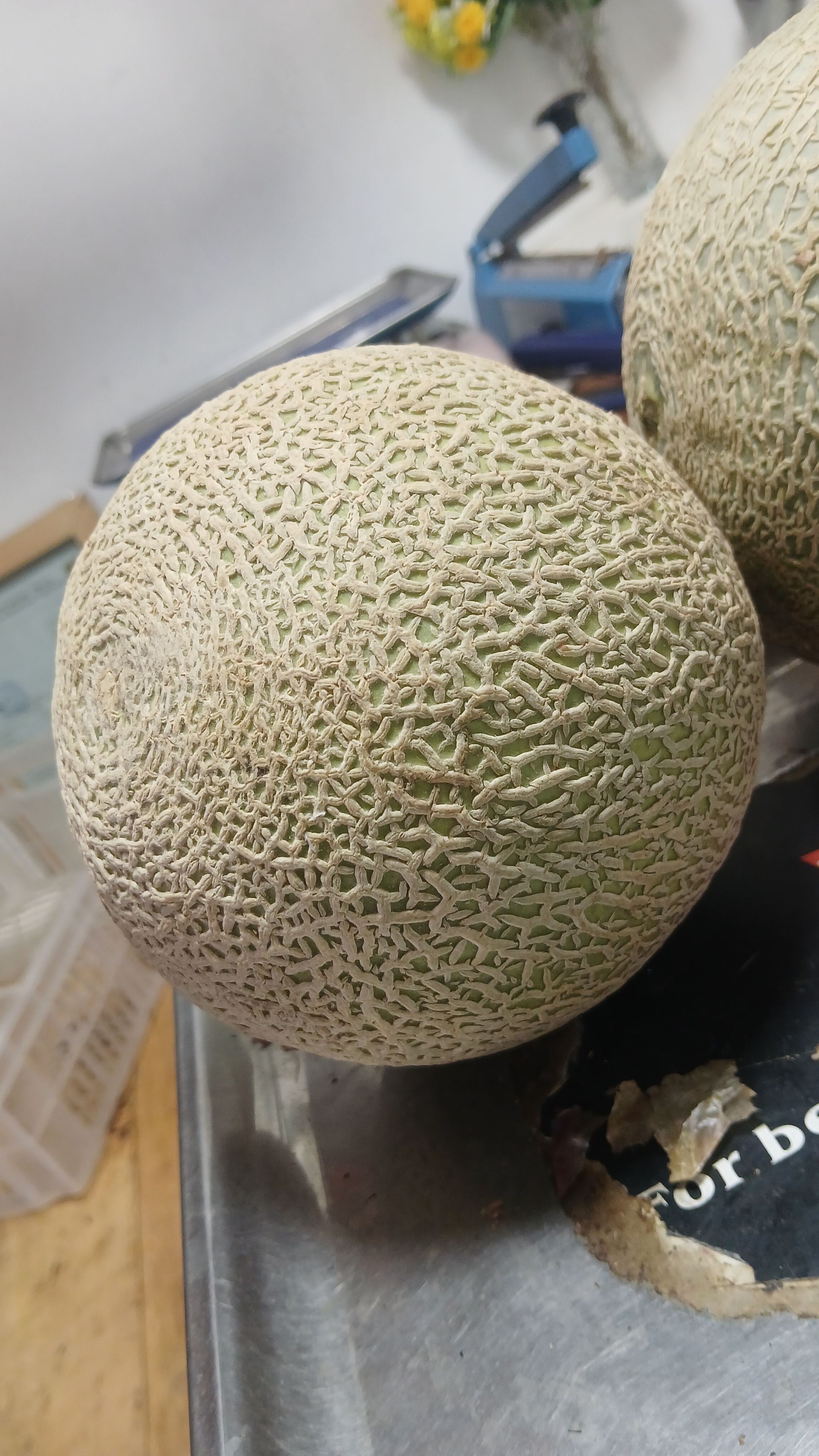 Melon_0