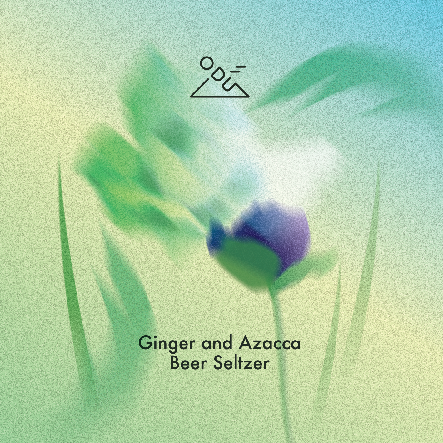 NEW!!! | Ginger & Azacca Beer Seltzer | ABV 6.1%_0