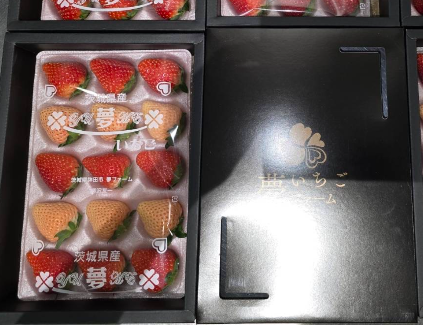 tripleS マユ Objekt いちご コンプ まとめ売り Mixed Japanese Strawberries 混合日本苺 - Suguru Mother's Day Menu