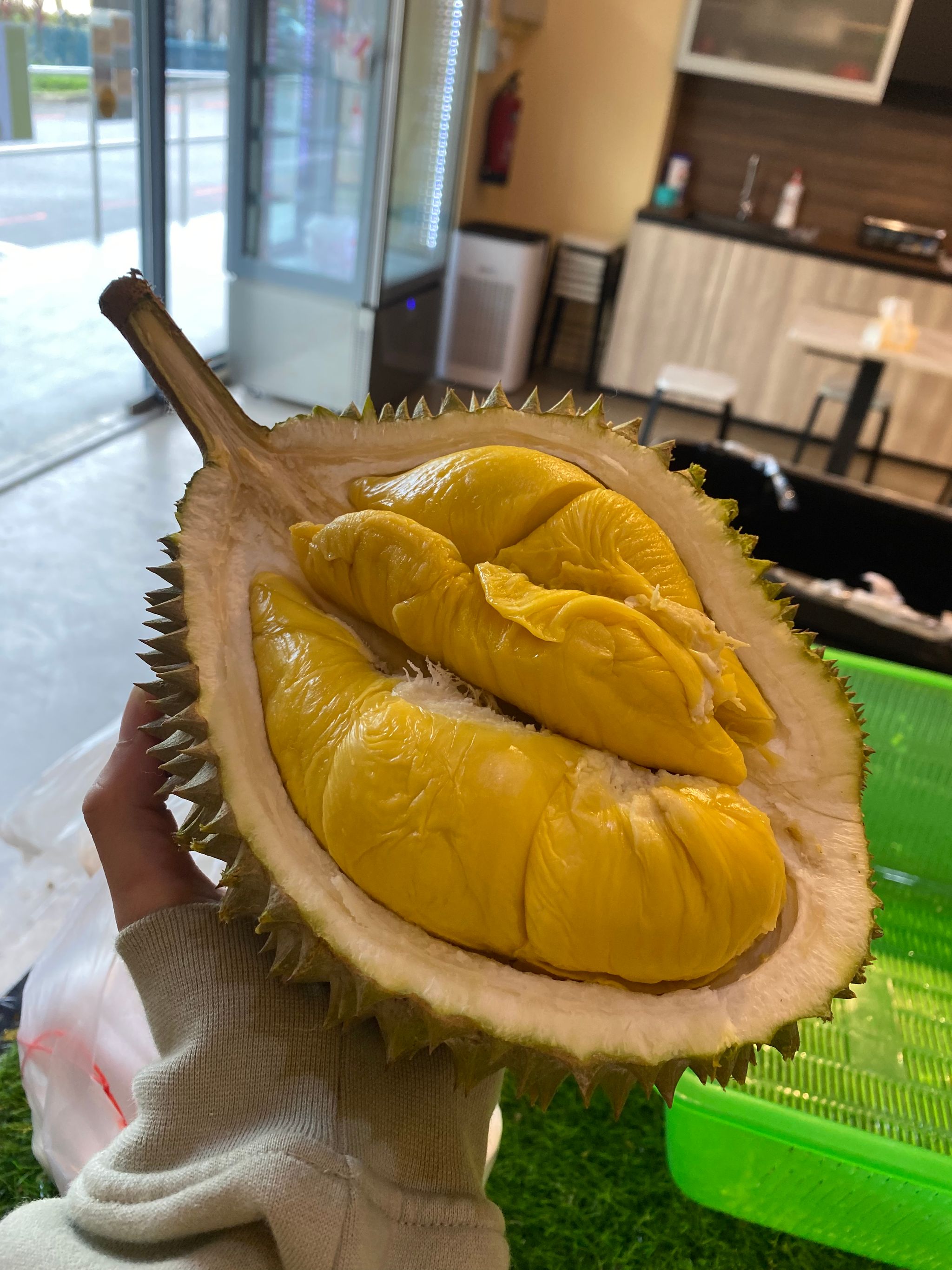 Mountain cat bundle _1