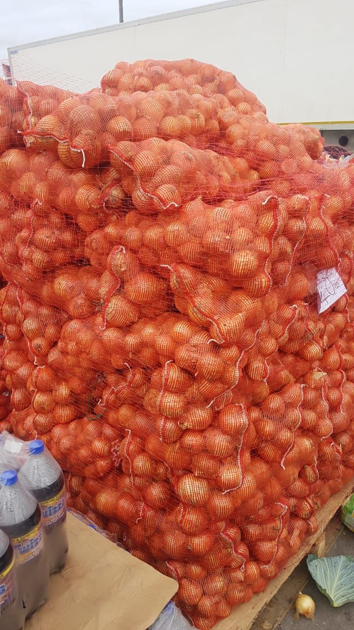 Onions_0