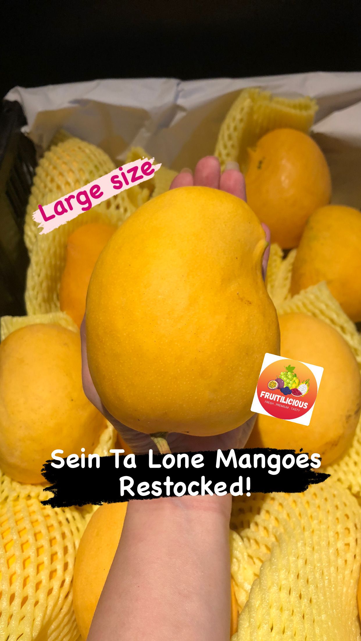 MYANMAR SEIN TA LONE MANGOES_1