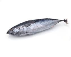 Ikan_2