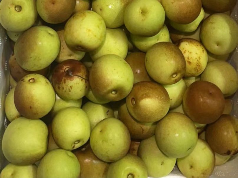 沾化冬枣 -$18/1箱/1.5kg_0