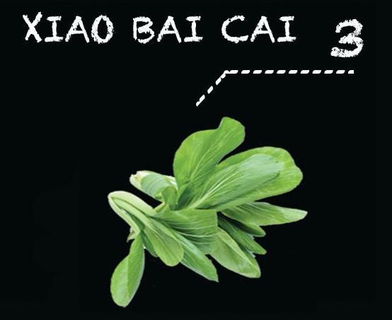 Xiao Bai Cai_0