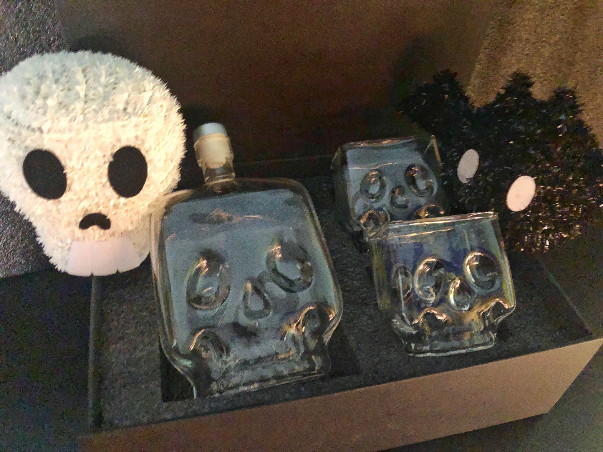 Unique Skeleton/Skull Decanter Gift Set _7