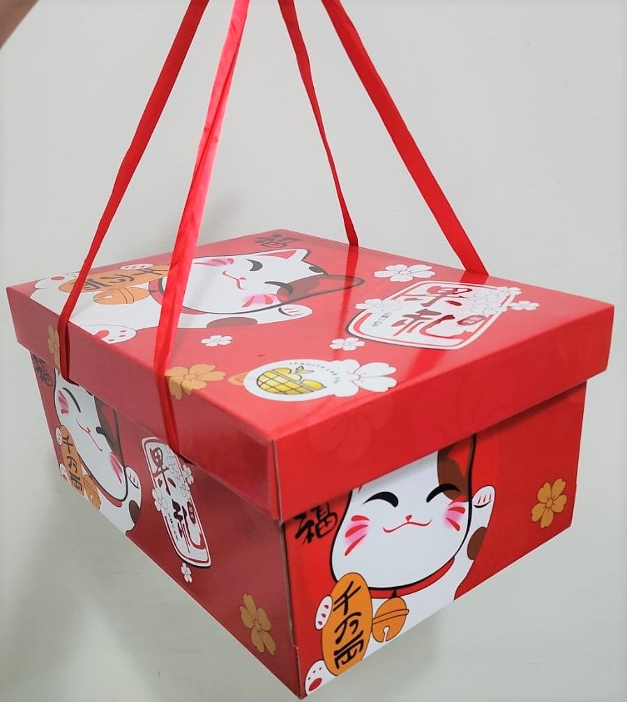 CNY Fortune Cat L Box_1