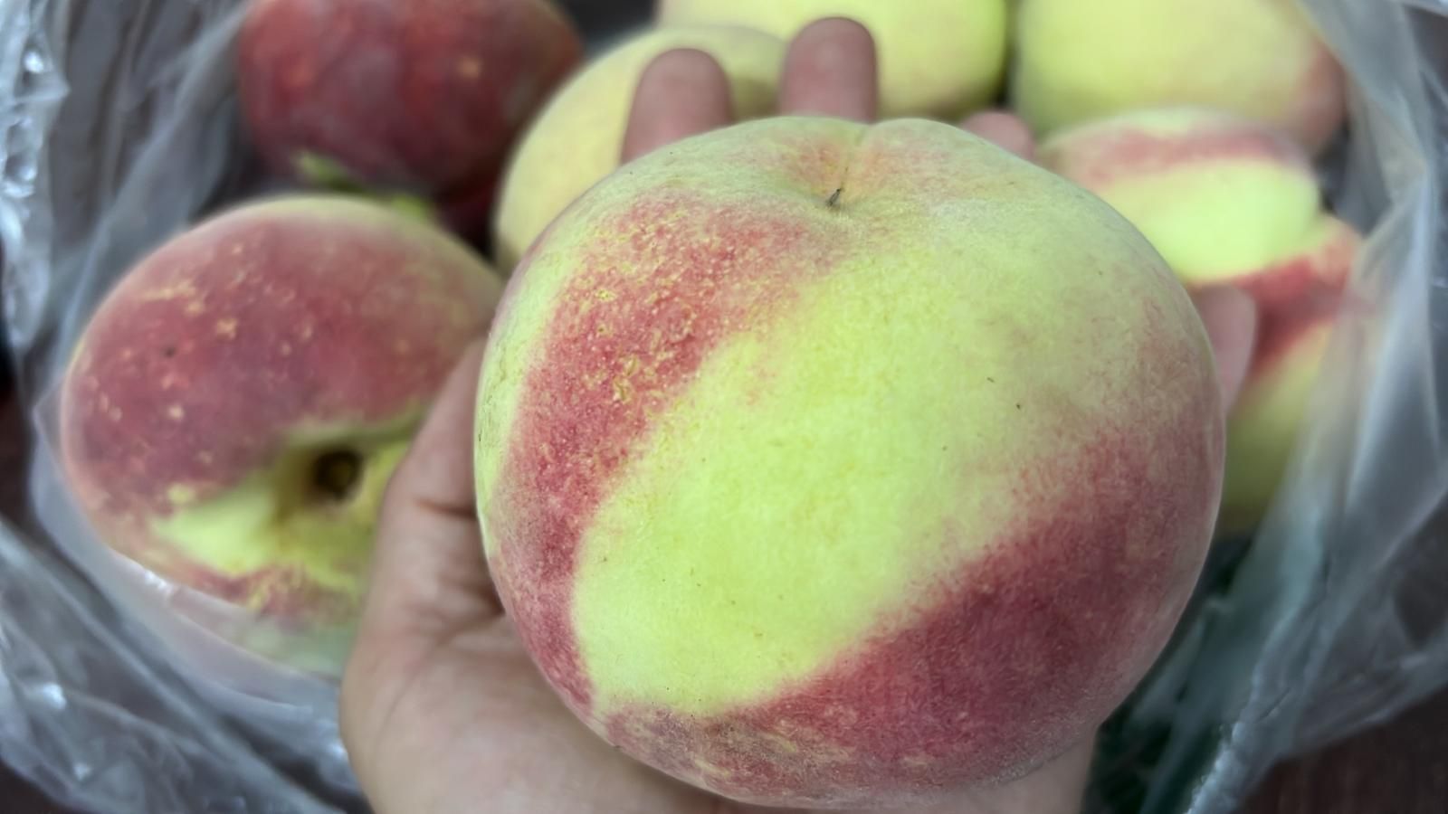 🍑 桃子 -$22/2kg_0