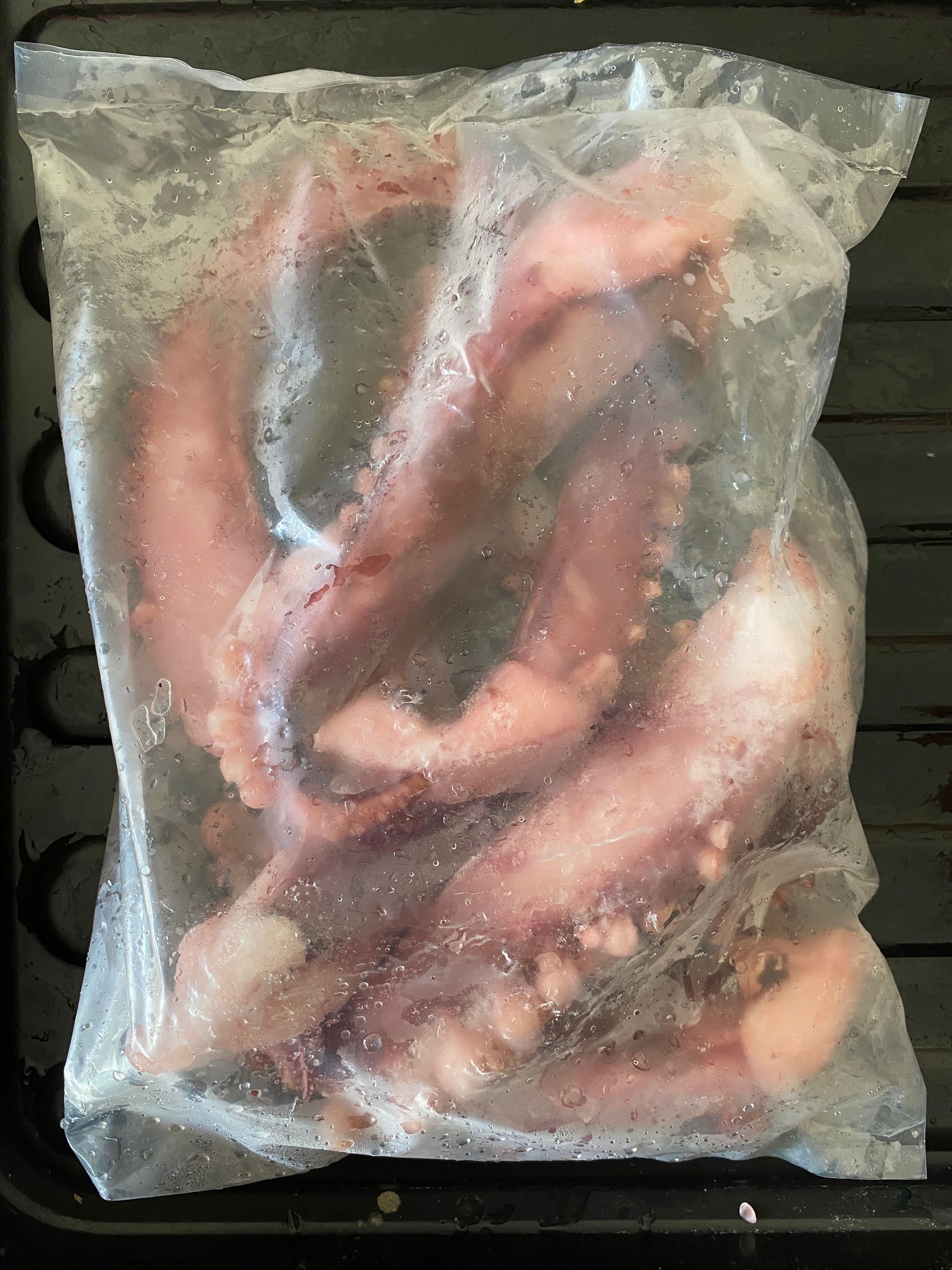 巨型八抓鱼脚_0