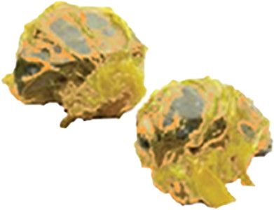 冬菇烧卖 Mushroom Siew Mai _0