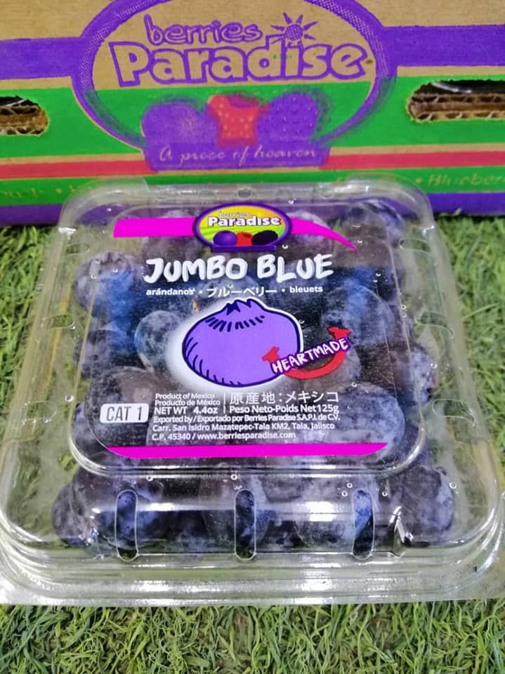 MEXICO Jumbo Blueberries 125g_1