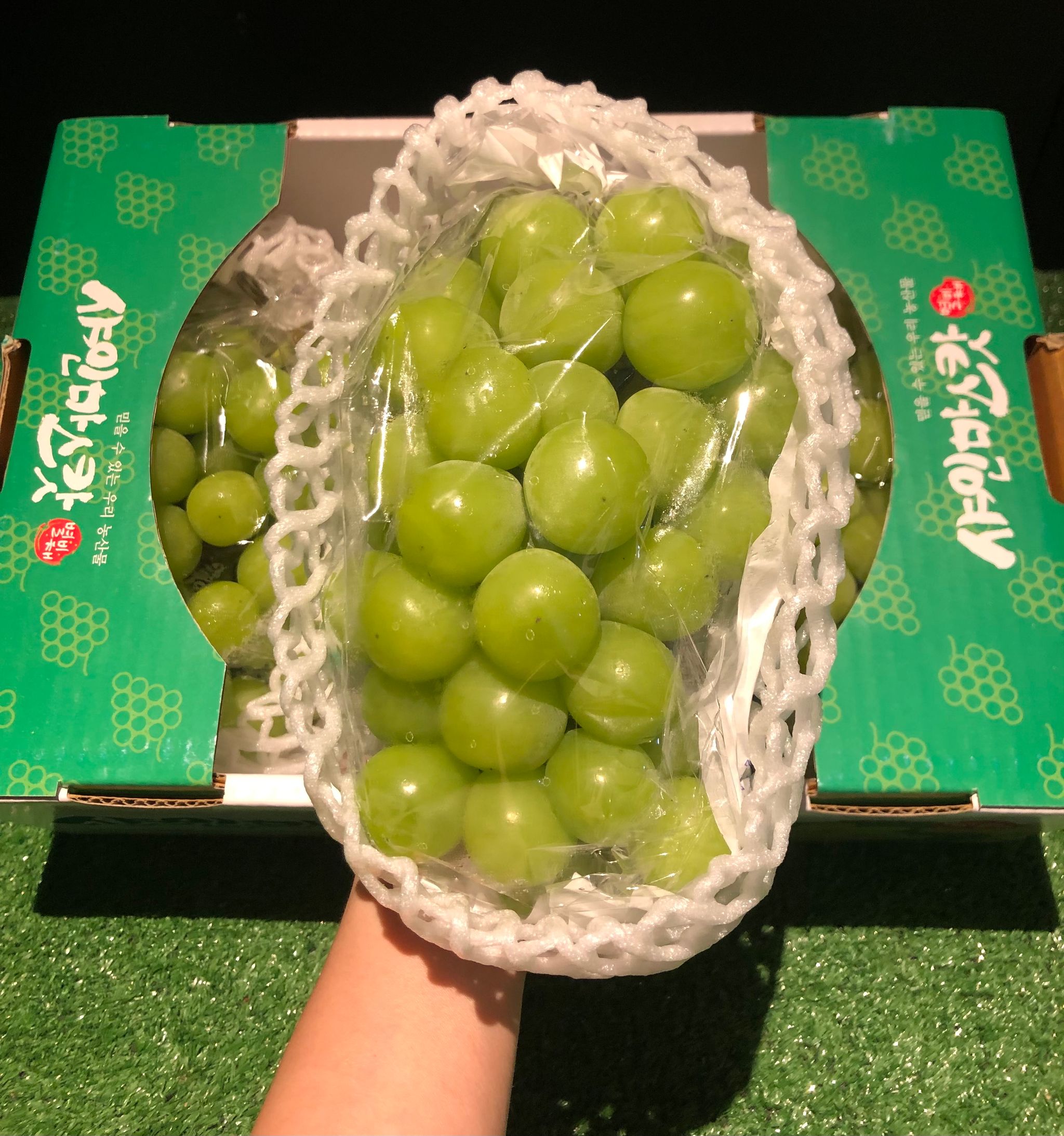 KOREA PREMIUM SHINE MUSCAT GRAPES_1