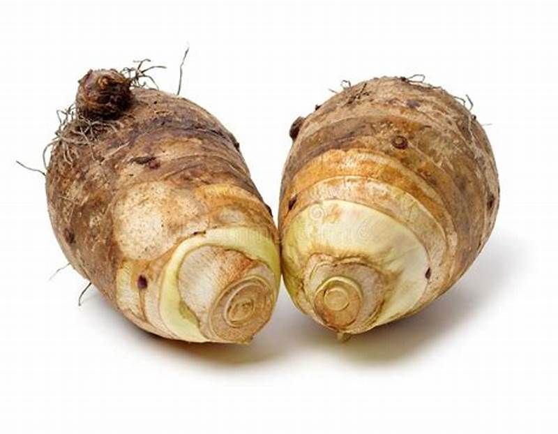 Yam, Tapioca, Chinese Turnips - 芋头, 木薯, 芜菁_1