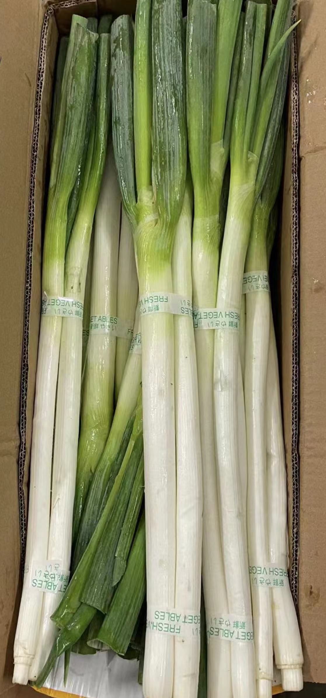 新鲜北葱 -$5/3把_0