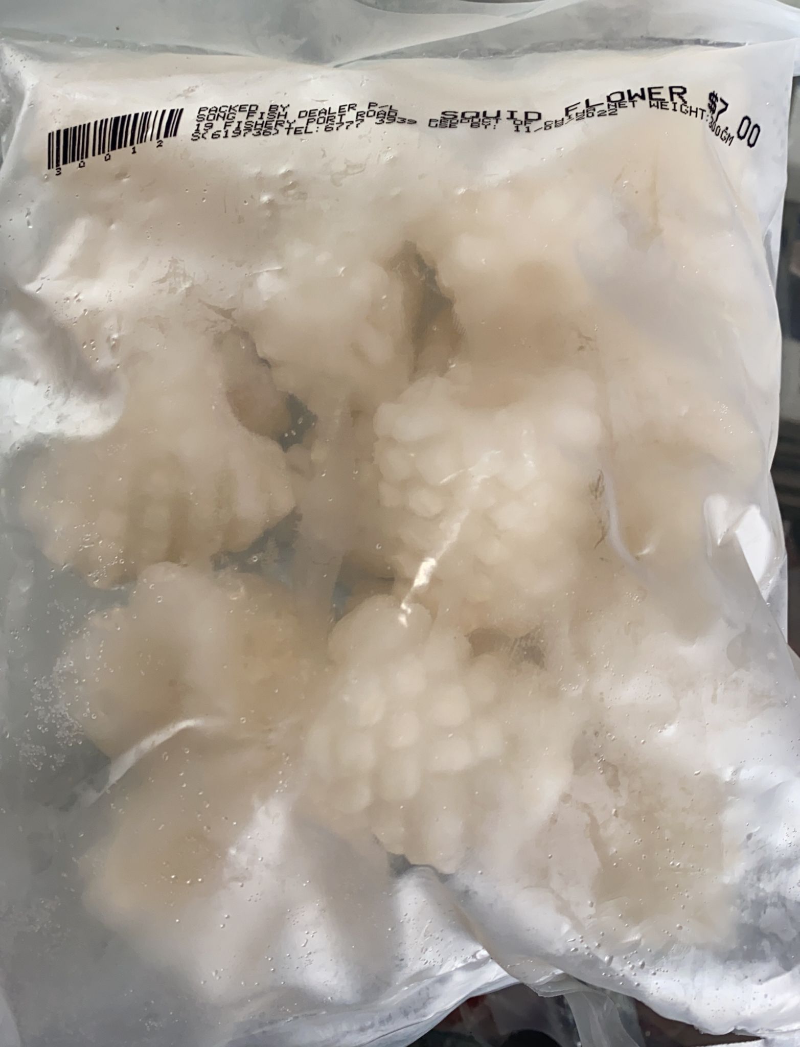 苏东花 Frozen Sotong -$8.50/1包/1kg_0