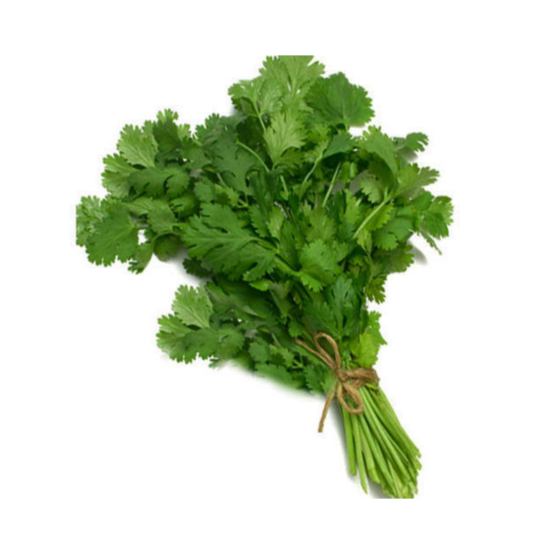 Coriander Leaves -100 GM_0