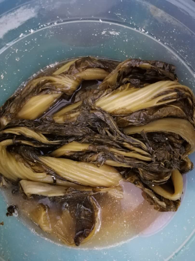 PICKLED MUSTARD / SAYUR MASIN 腌酸菜_0
