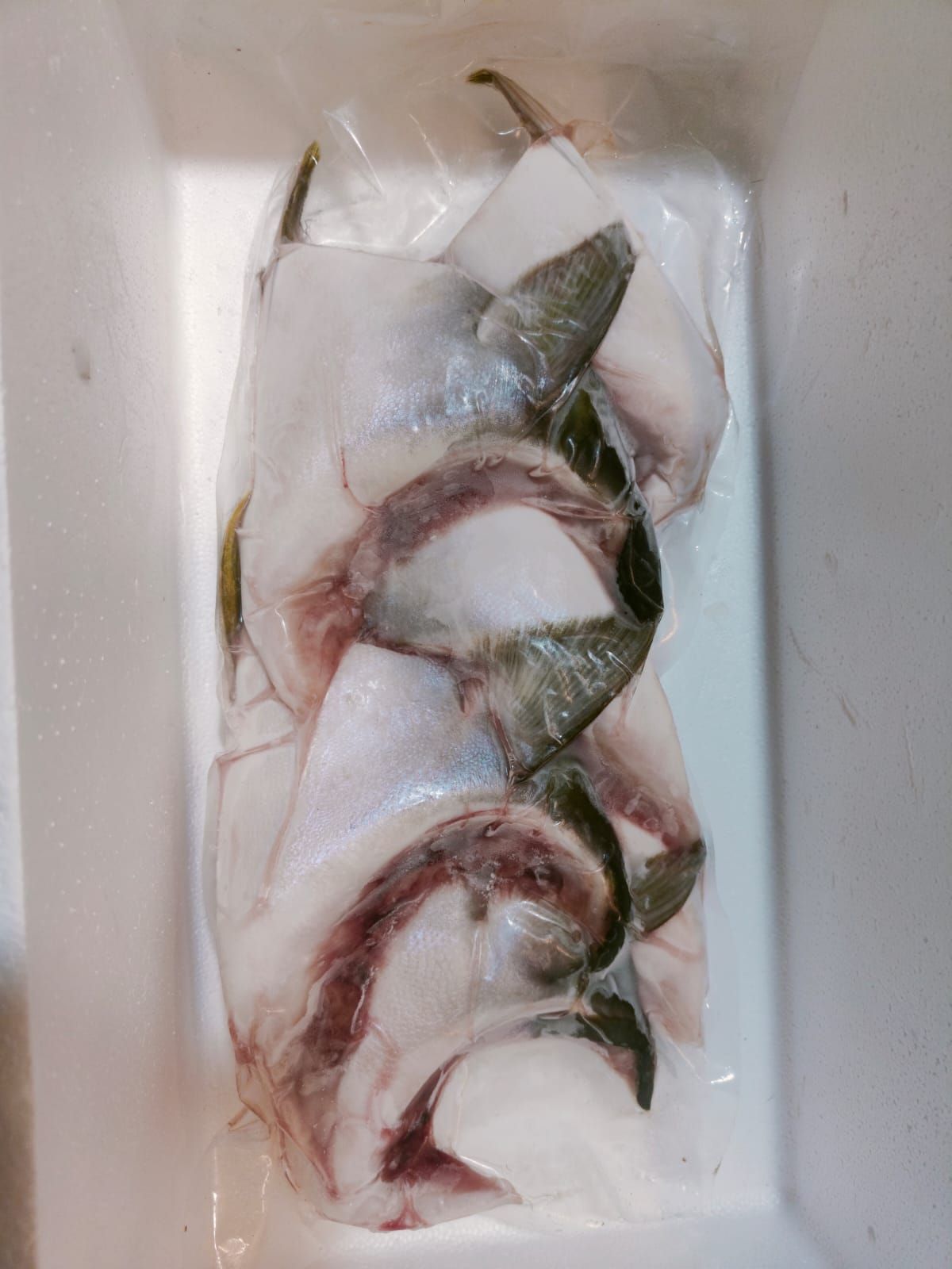 HAMACHI KAMA_0