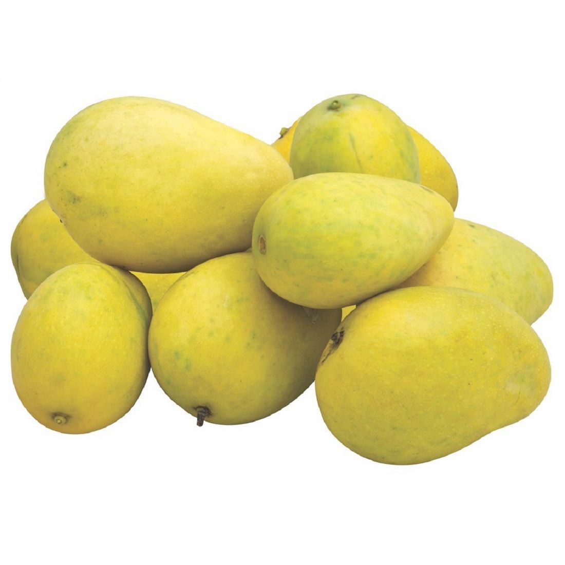 Badami Mango - 2 PCS _0