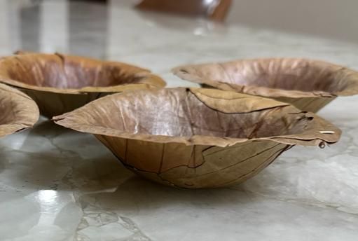 Cutlery  - Disposable Leaf Bowls (Donas)_2