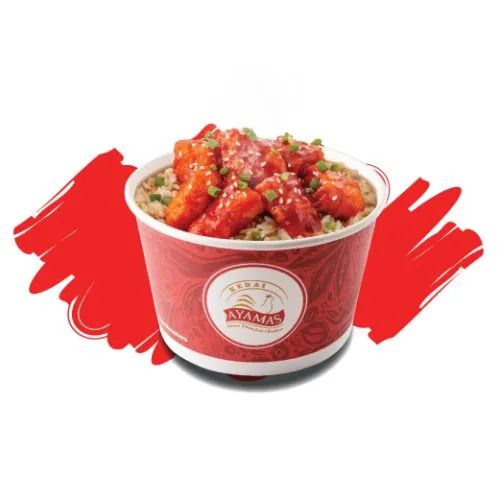 RICE BOWL_0