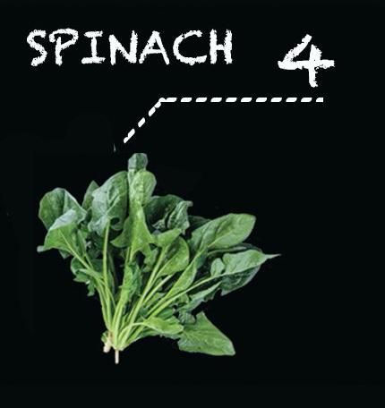 Spinach_0