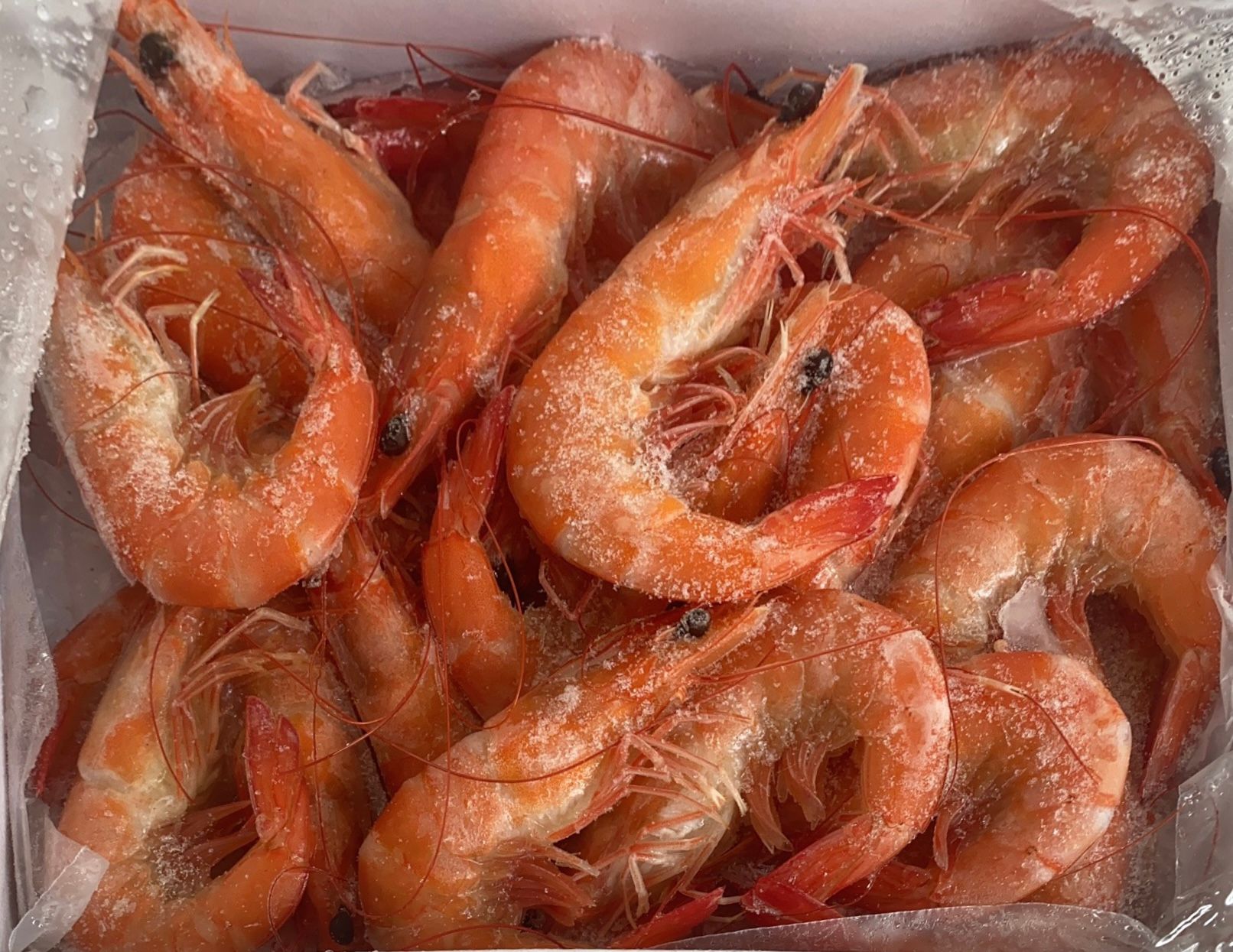 🦐美人虾 Cooked shrimp-$14&$15/1盒_0