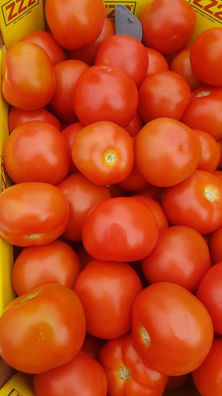 Tomato_0