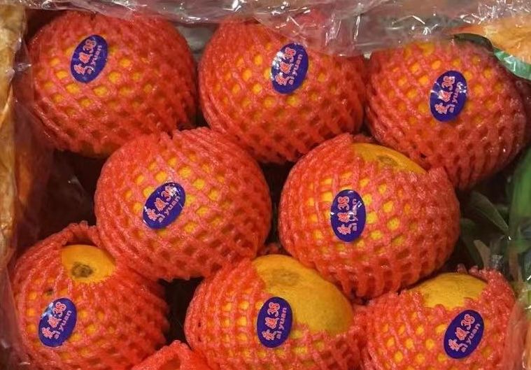 🍊爱媛橙 -$13/2kg_0