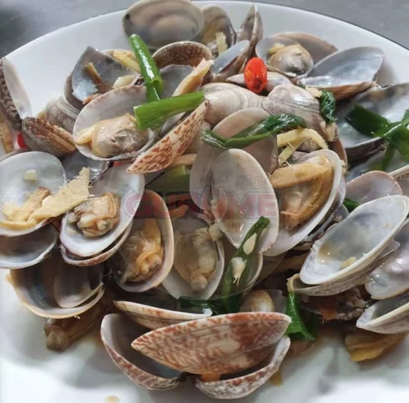 啦啦 Frozen Clam -$9/3包/500g_1