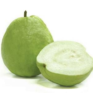 Jambu Batu (tiada biji)_0