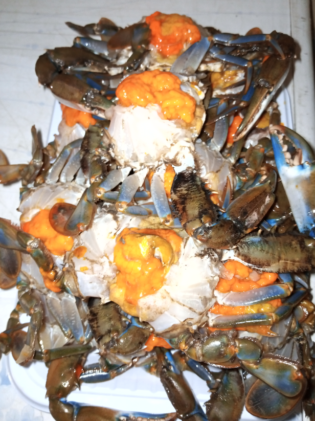 Crabs_0
