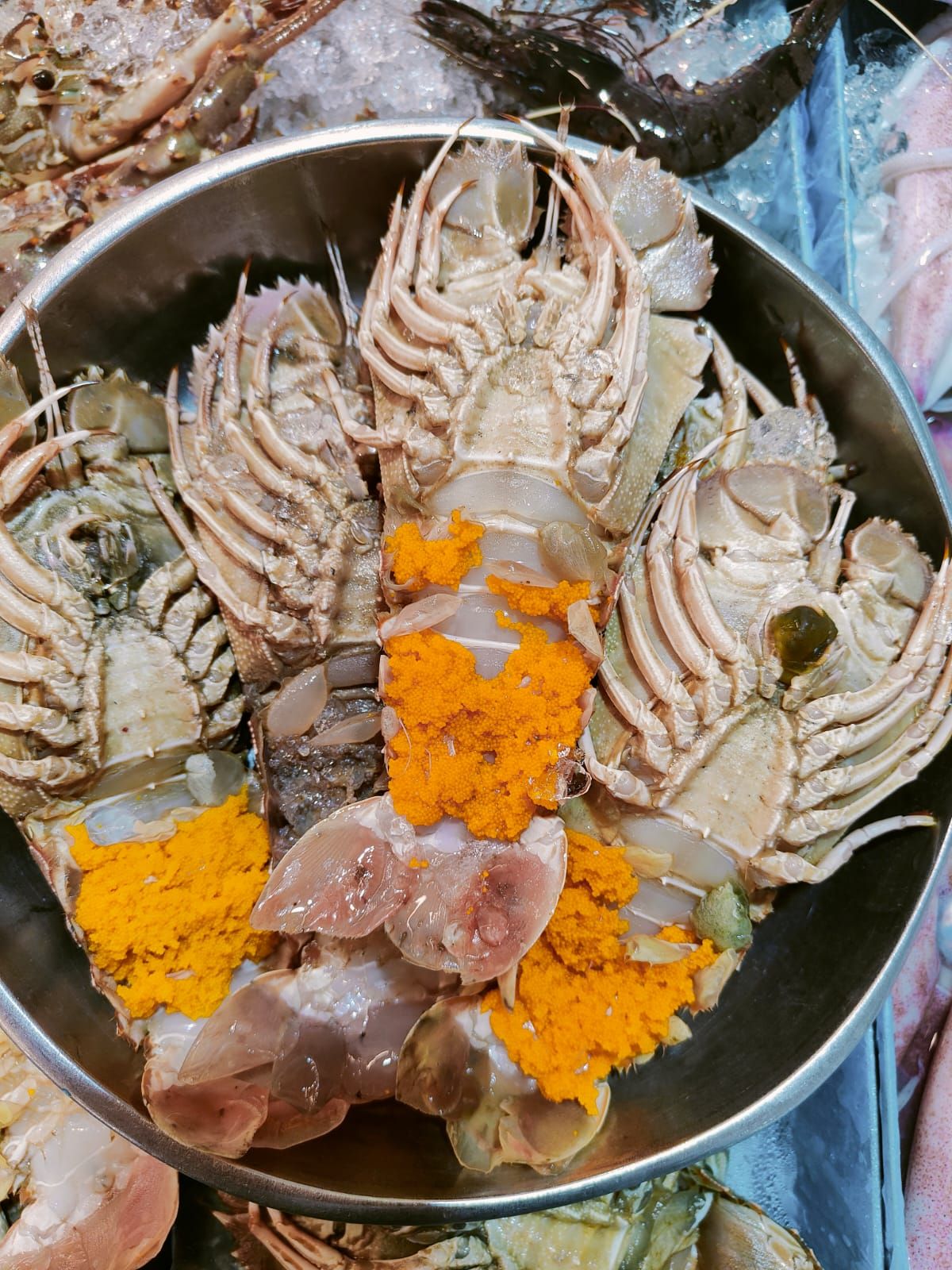 XL MSIA CRAYFISH_0